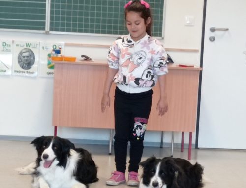 Simi és Panda segíti a gyerekek fejlődését Tiszabőn, Tiszaburán és Tarnabodon