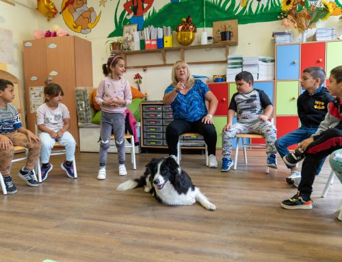 Panda, a négylábú tiszabői tanársegéd